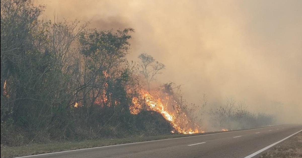 Intenso trabajo para contener el incendio forestal en El Poste