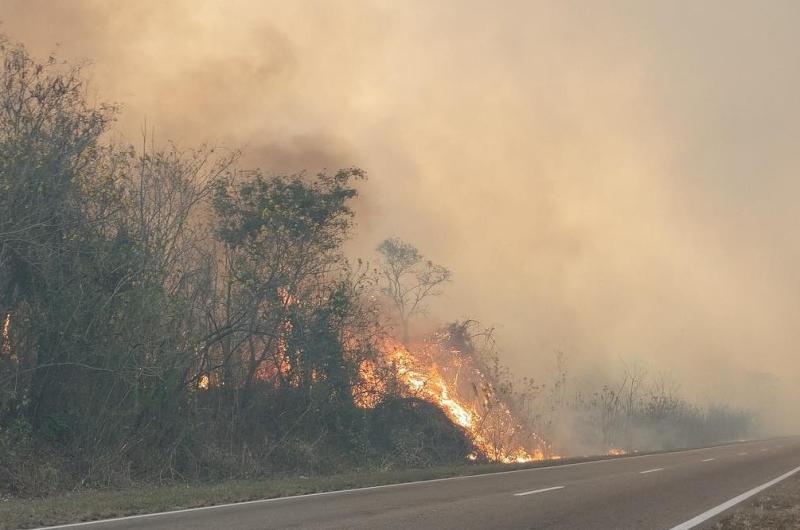 Intenso trabajo para contener el incendio forestal en El Poste