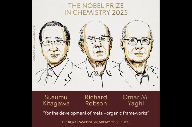El premio Nobel de Quiacutemica 2025 fue otorgado a Susumu Kitagawa Richard Robson y Omar M Yaghi  