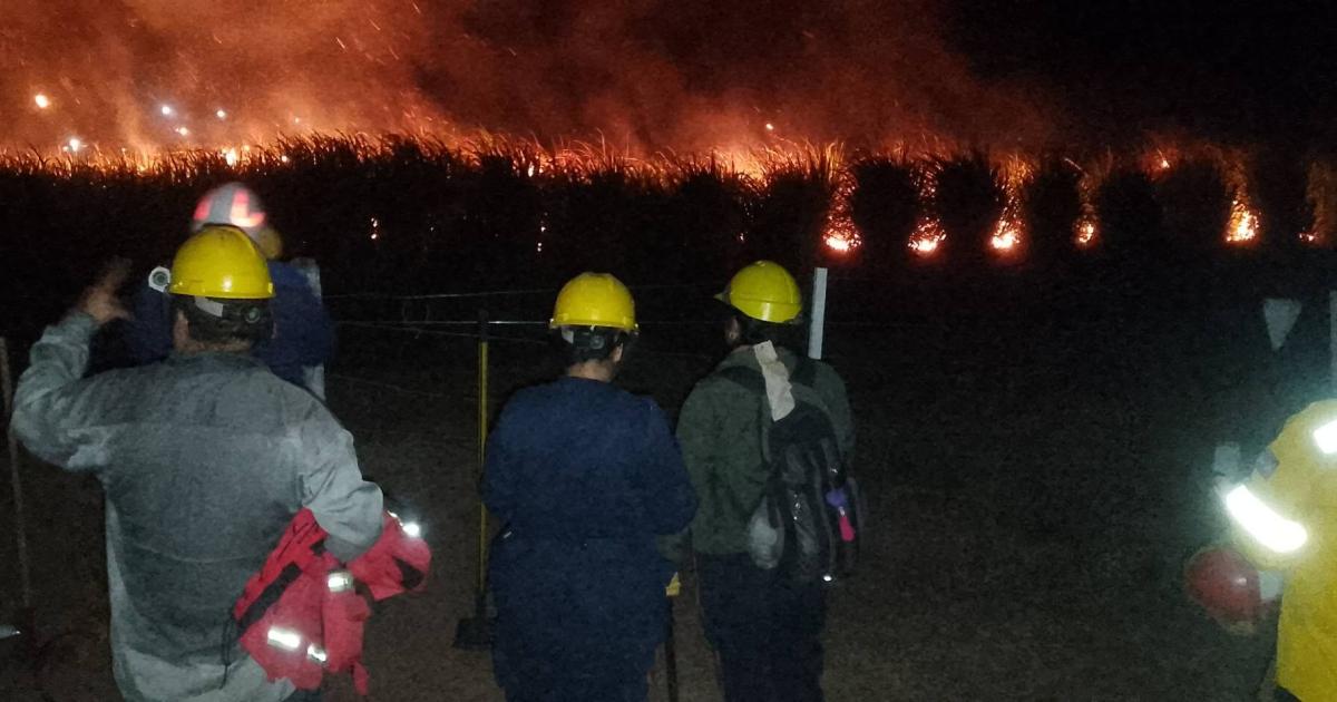 Los brigadistas combaten incendios forestales en Caimancito y Vinalito