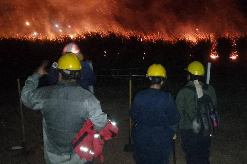 Los brigadistas combaten incendios forestales en Caimancito y Vinalito