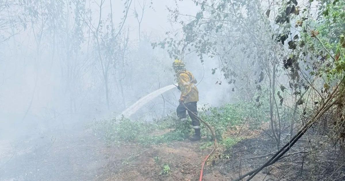 Ambiente despliega un intenso trabajo en la zona donde se registran incendios forestales