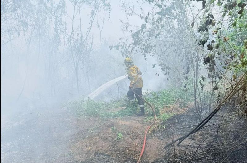 Ambiente despliega un intenso trabajo en la zona donde se registran incendios forestales