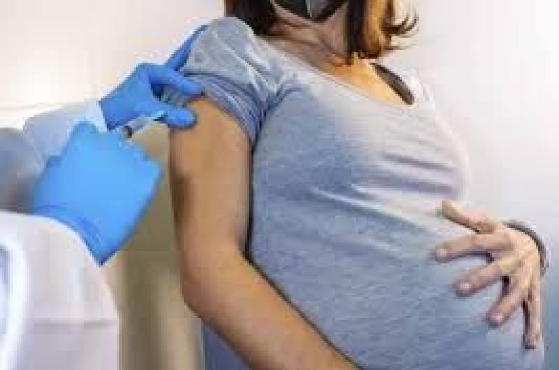 Finaliza campantildea de vacunacioacuten contra el virus sincicial respiratorio