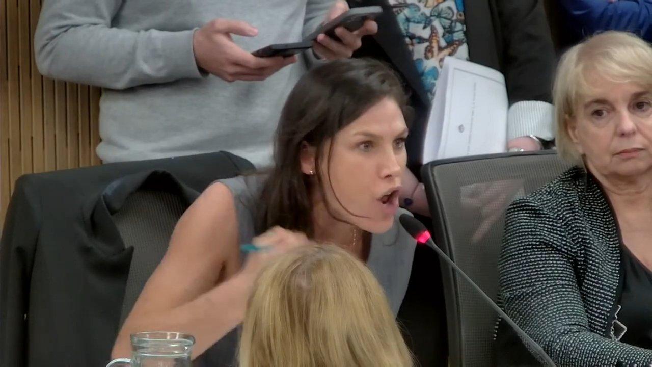 Fuera de quicio- el ataque de nervios de una diputada saltentildea que reclamoacute el desafuero de un legislador K