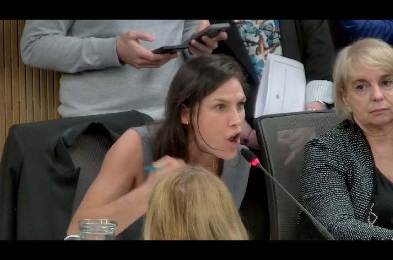 Fuera de quicio- el ataque de nervios de una diputada saltentildea que reclamoacute el desafuero de un legislador K