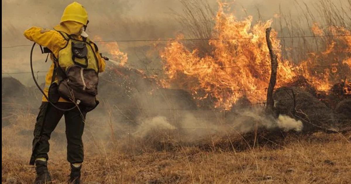 Los incendios forestales en Ledesma afectaronmaacutes de 1500 hectaacutereas