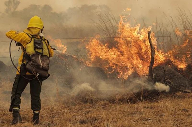Los incendios forestales en Ledesma afectaronmaacutes de 1500 hectaacutereas