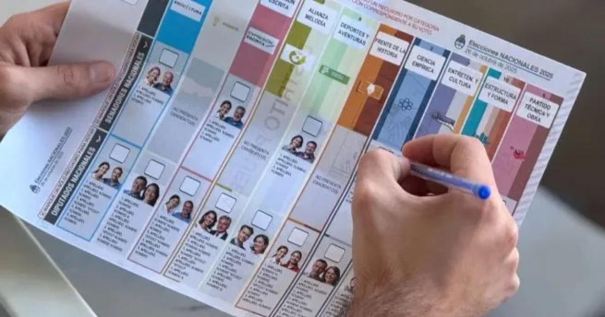 La Caacutemara Electoral ordenoacute publicar resultados por distrito