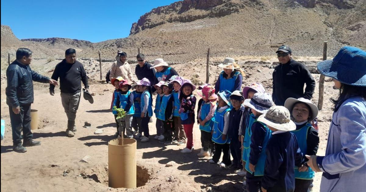 Comunidad Atacama inicioacute la regeneracioacuten de la huella verde en la Puna de los Salares