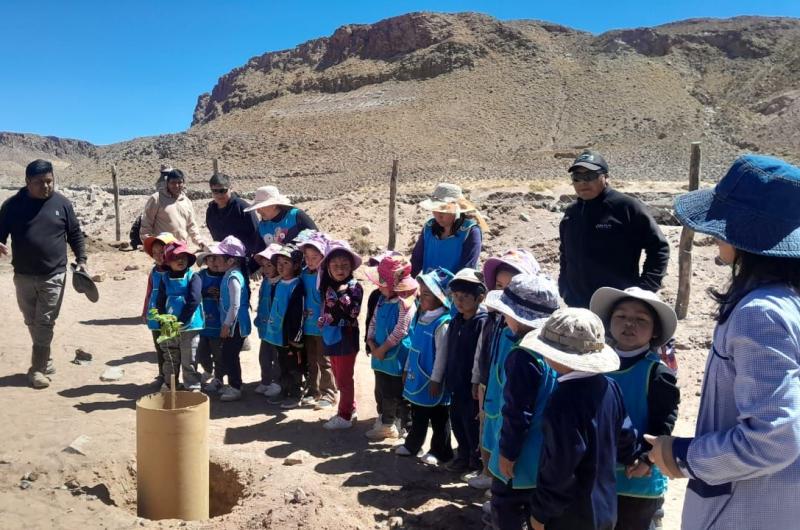 Comunidad Atacama inicioacute la regeneracioacuten de la huella verde en la Puna de los Salares