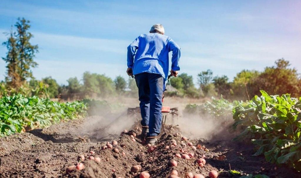 Aumentan las prestaciones por desempleo en el sector rural
