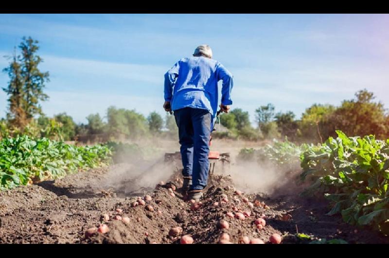 Aumentan las prestaciones por desempleo en el sector rural