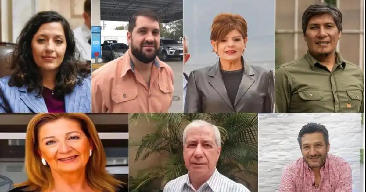 Jujuy elige tres diputados nacionales