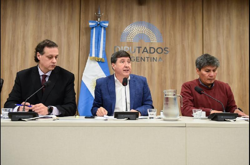 Diputados avanzan para incluir la Atrofia Muscular Espinal (AME) en la pesquisa neonatal