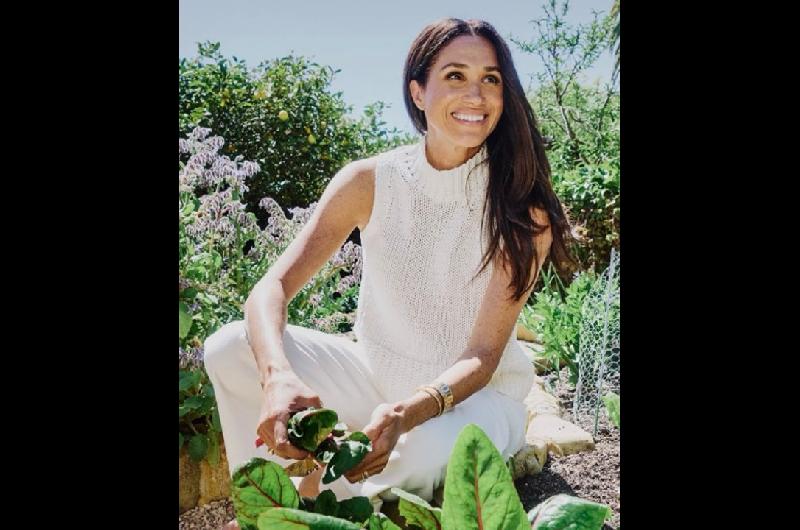 Meghan Markle regresaraacute a la actuacioacuten tras siete antildeos de ausencia