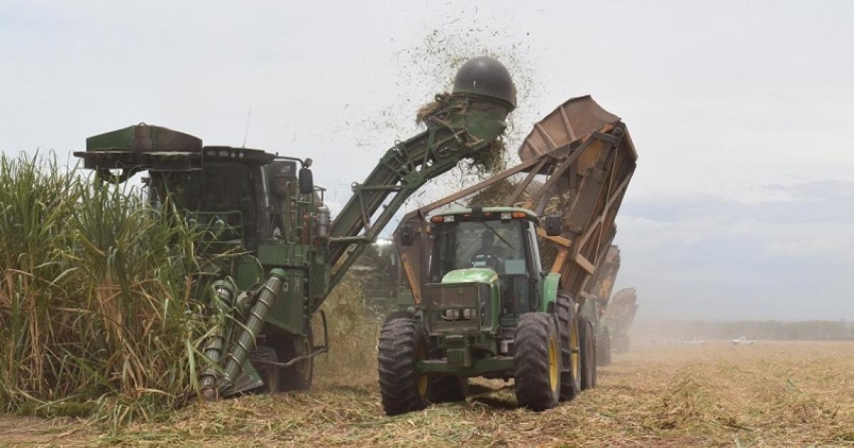 Zafra de Ledesma marcoacute reacutecord de etanol y molienda sostenida respecto al 2024