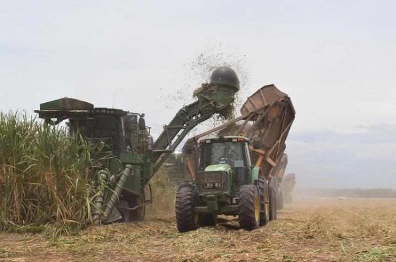 Zafra de Ledesma marcoacute reacutecord de etanol y molienda sostenida respecto al 2024