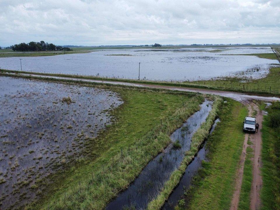 El Gobierno declaroacute y prorrogoacute la emergencia agropecuaria en zonas de Entre Riacuteos Buenos Aires y Riacuteo Negro