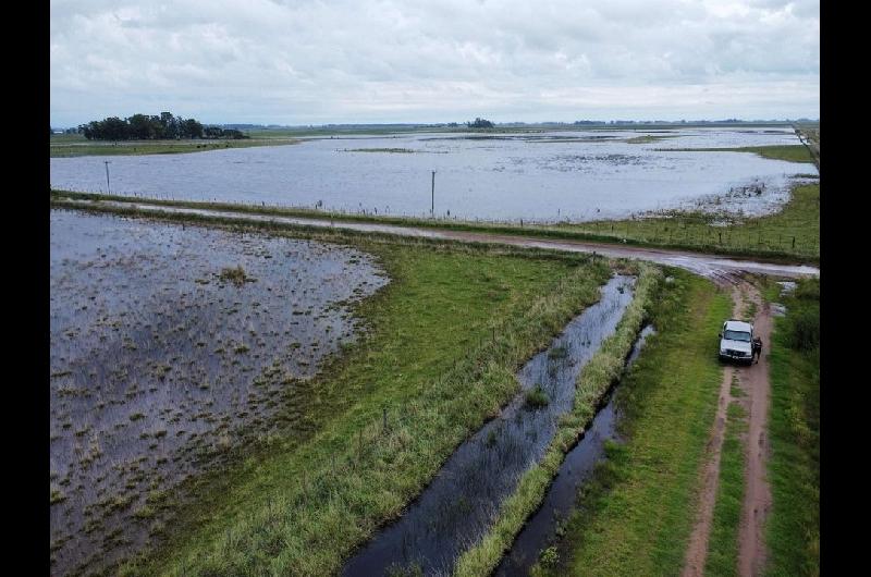 El Gobierno declaroacute y prorrogoacute la emergencia agropecuaria en zonas de Entre Riacuteos Buenos Aires y Riacuteo Negro