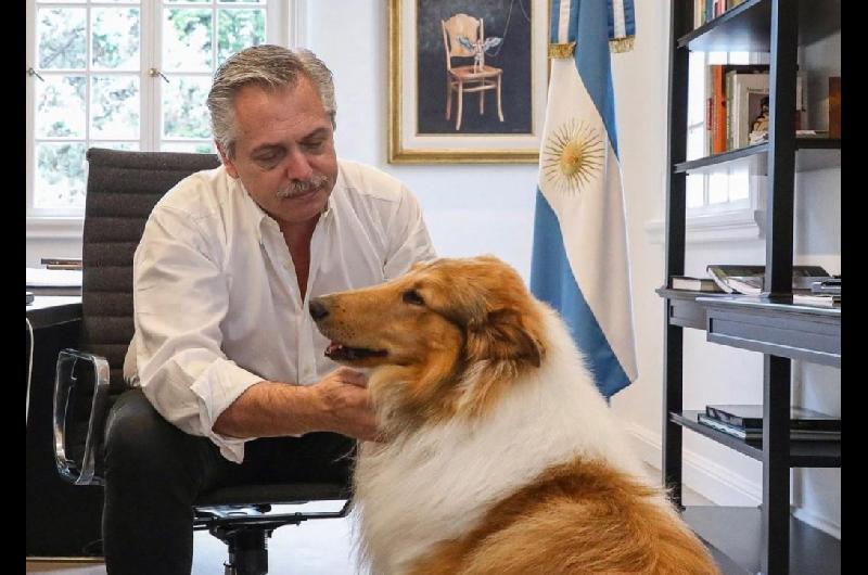 Murioacute Dylan el perro de Alberto Fernaacutendez