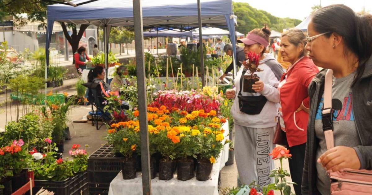 Inicia la exposicioacuten Jujuy florece
