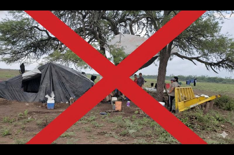 Acuerdo Milei-Trump- Argentina prohibiraacute la importacioacuten de productos hechos con trabajo forzoso