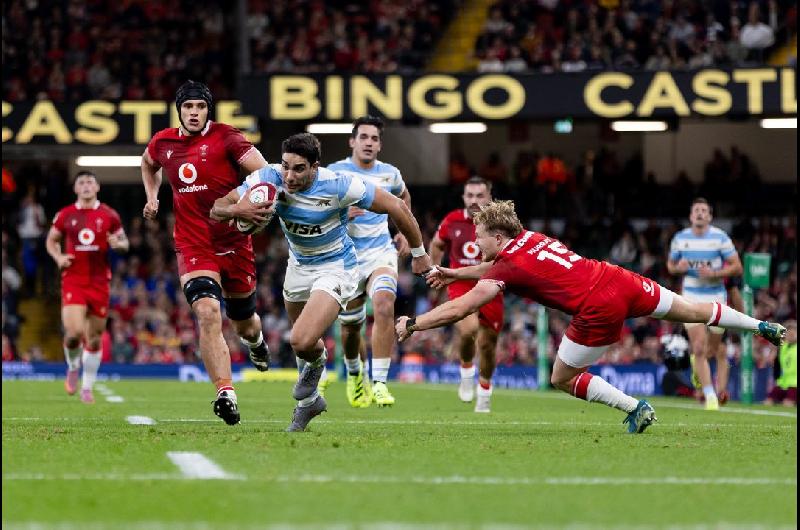 Los Pumas enfrentaraacuten a Escociacutea en Edimburgo