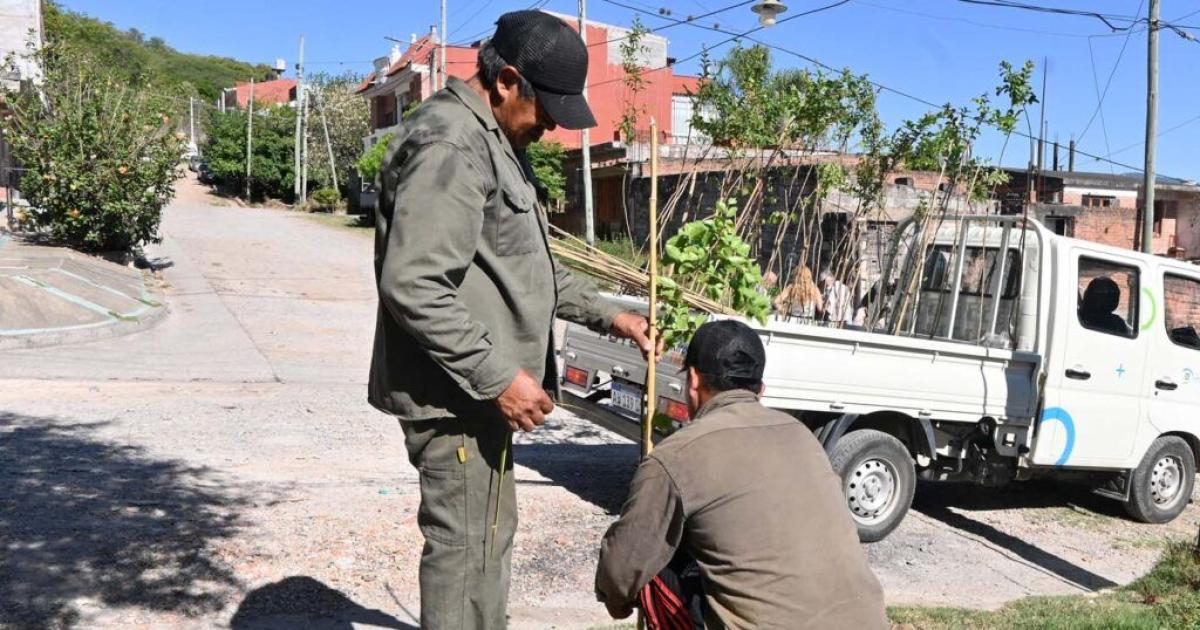 Campantildea de reforestacioacuten con especies autoacutectonas para mejorar la calidad ambiental