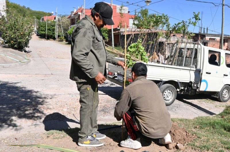 Campantildea de reforestacioacuten con especies autoacutectonas para mejorar la calidad ambiental