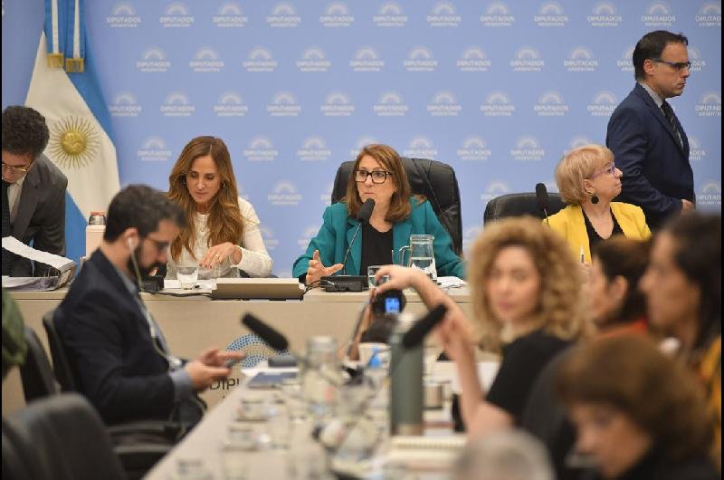 Fentanilo contaminado- la Comisioacuten Investigadora presentoacute informe con recomendaciones sanitarias