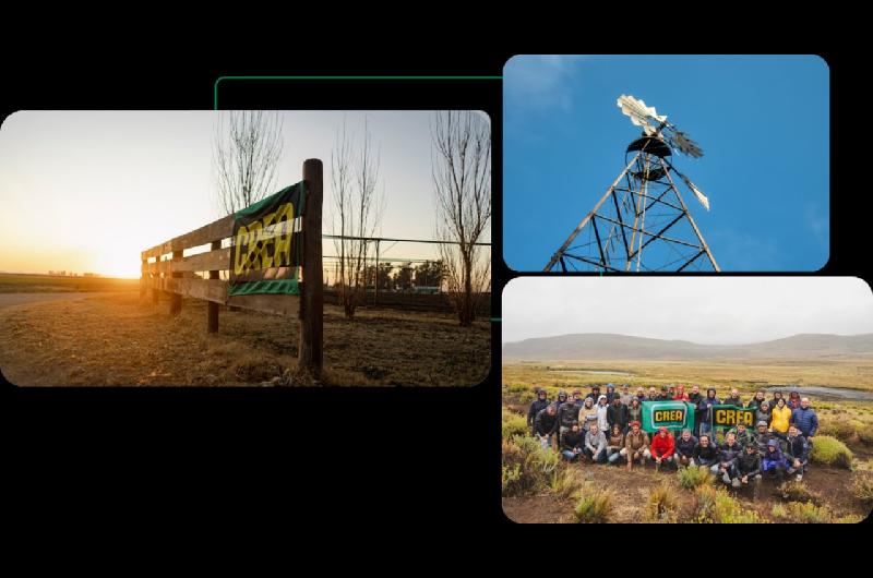 El campo espera por el plan Milei- la siembra seraacute menor en 2026 y no es buen momento para invertir 