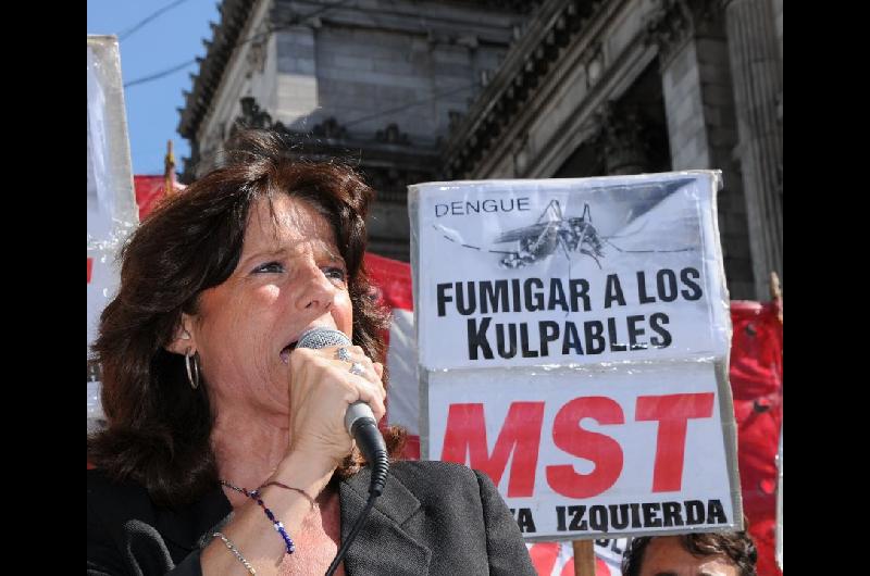 El incidente con Vilma Ripoll en el Congreso- se tiroacute sobre el auto de Milei 