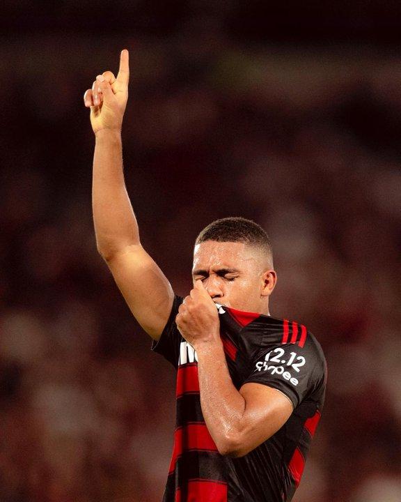 Flamengo cortoacute una sequiacutea de cinco antildeos y es campeoacuten del Brasileirao
