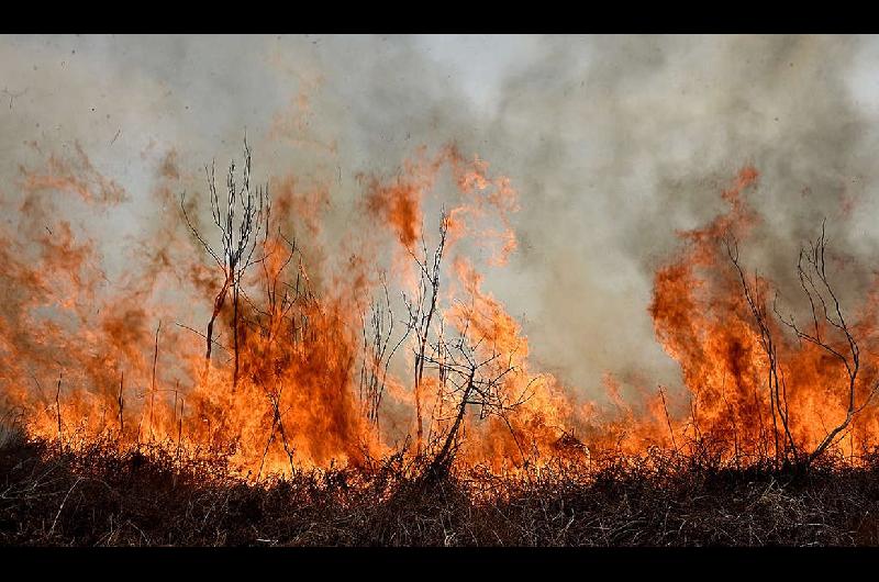 Dantildeo ambiental- la Corte condenoacute a Nacioacuten provincias y municipios por las quemas en el Delta del Paranaacute