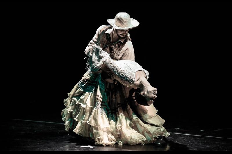 Martiacuten Fierro de la Danza- Coacutemo es y quieacuten conduce