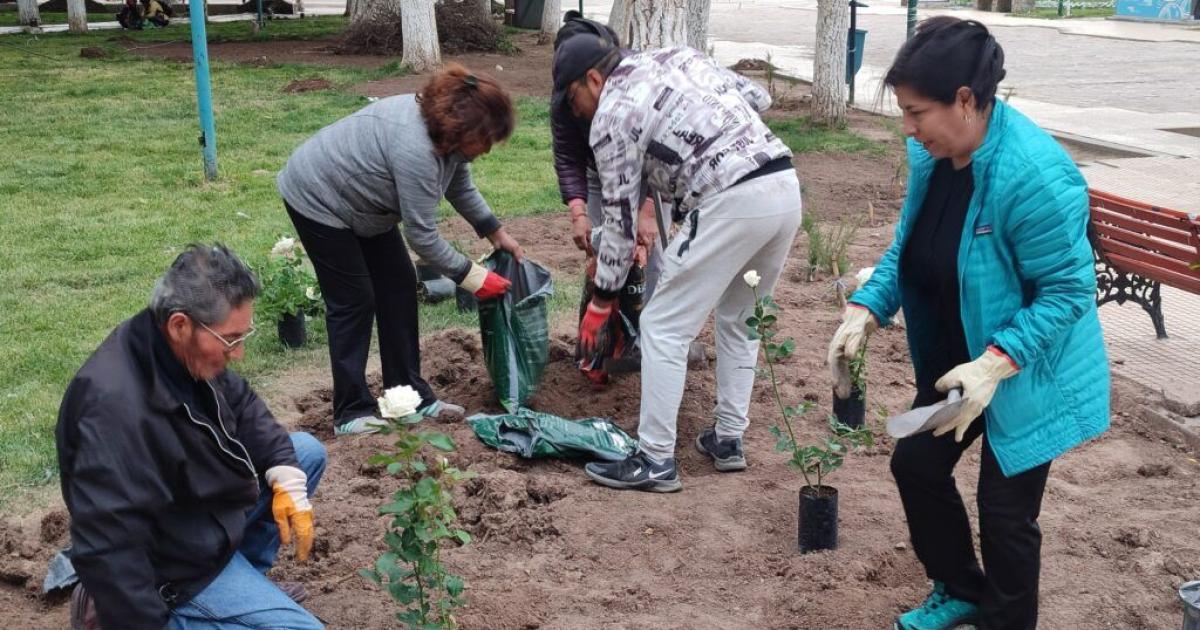 Vecinos con la ayuda de estudiantes y municipio plantaron rosales en La Quiaca