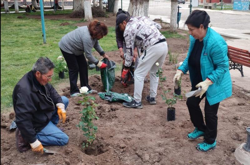 Vecinos con la ayuda de estudiantes y municipio plantaron rosales en La Quiaca