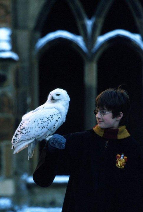 Las 10 peliacuteculas top que pueden estar en Netflix tras la compra de HBO