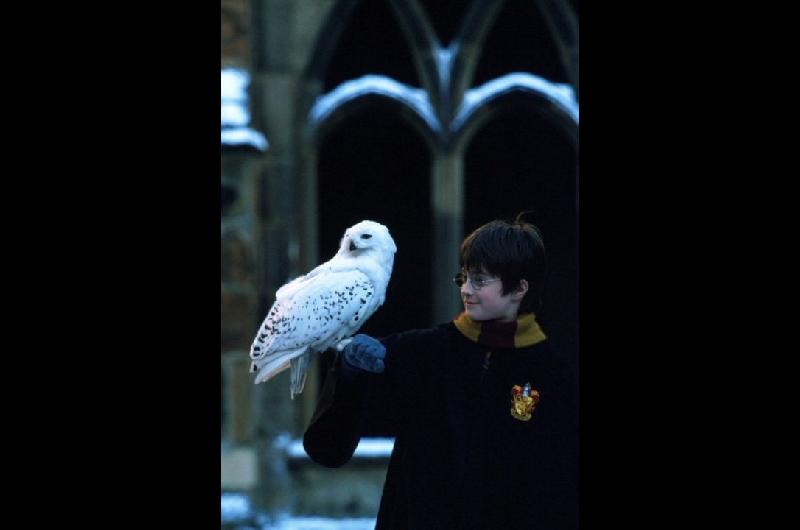 Las 10 peliacuteculas top que pueden estar en Netflix tras la compra de HBO