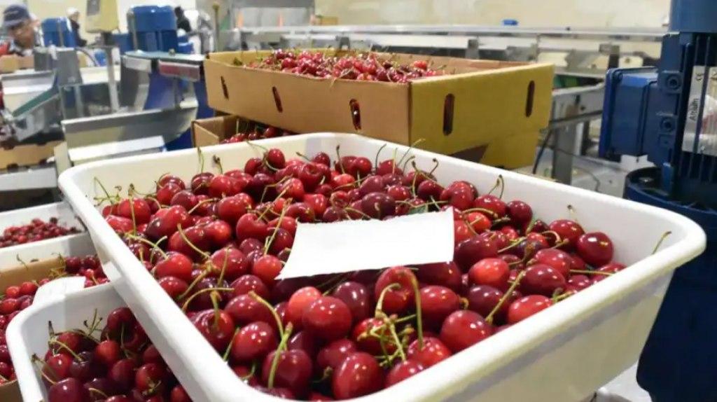 Aseguran que nueva ruta ShanghaindashBuenos Aires favorece al comercio internacional