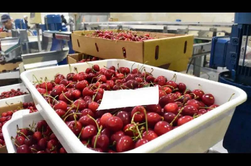 Aseguran que nueva ruta ShanghaindashBuenos Aires favorece al comercio internacional