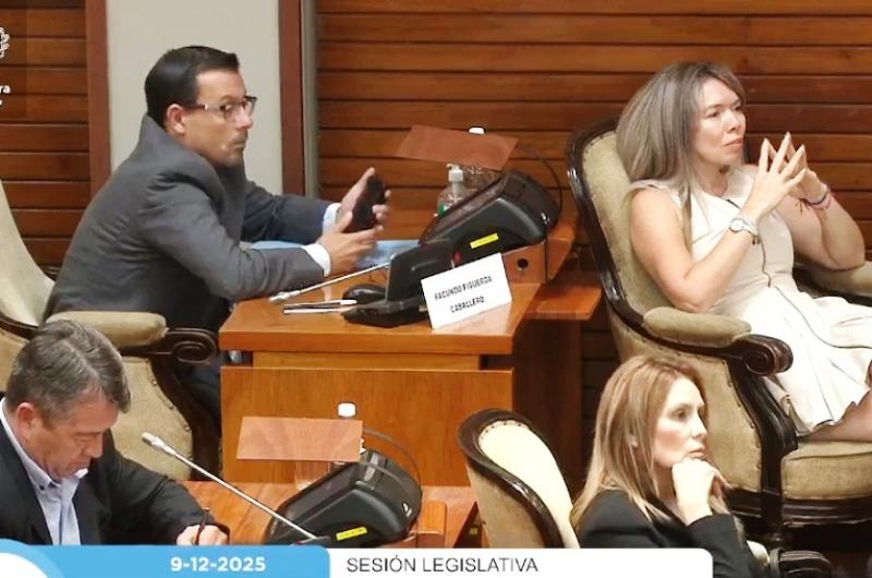 Maacutes leyes aprobadas- de estiacutemulos fiscales la ley impositiva y Grilla Docente