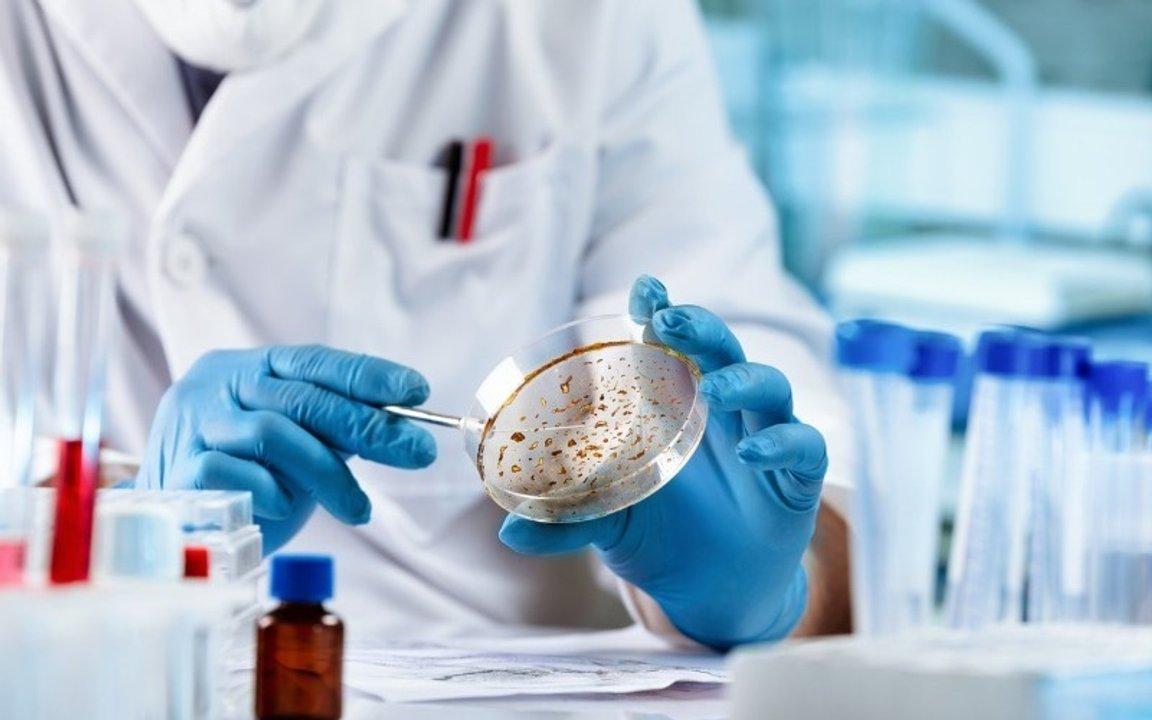 Avance cientiacutefico en Australia- crean un cataacutelogo de caacutencer infantil para impulsar la inmunoterapia