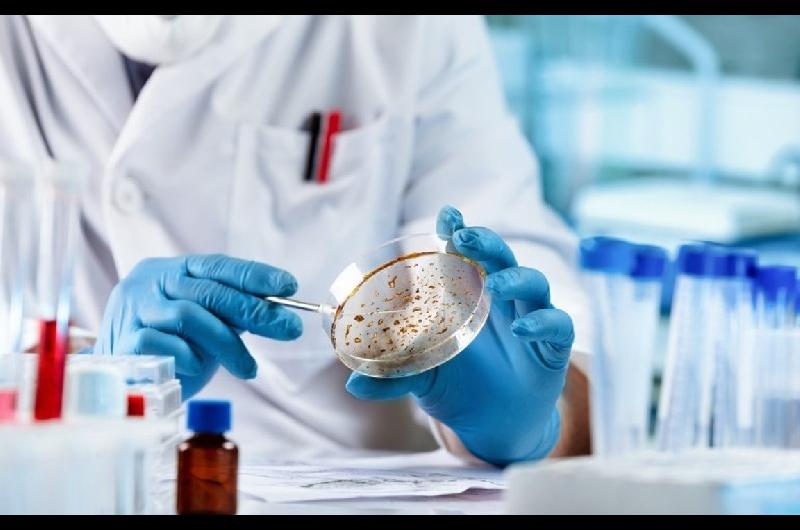 Avance cientiacutefico en Australia- crean un cataacutelogo de caacutencer infantil para impulsar la inmunoterapia