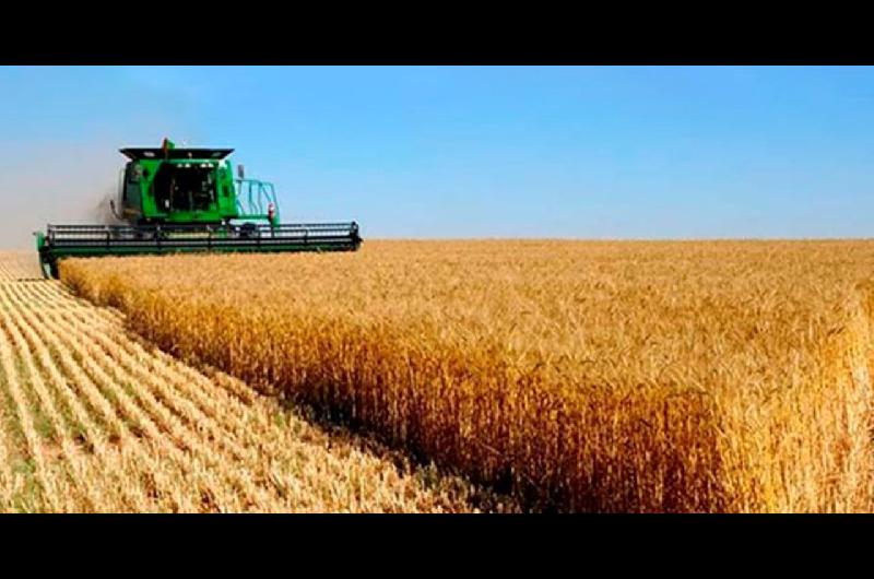 Nueva rebaja de retenciones para el campo- asiacute quedaron las nuevas aliacutecuotas