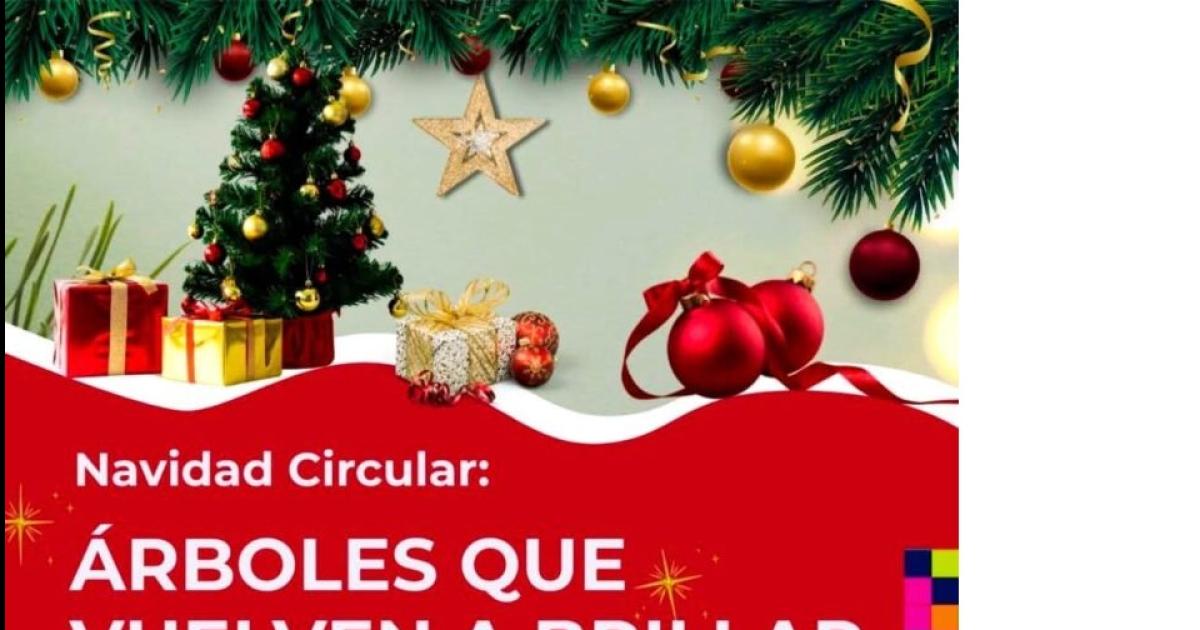 Campantildea Arboles que vuelven a brillar