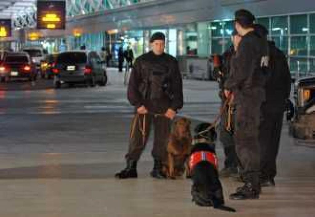 Simplifican controles de seguridad para aviacioacuten comercial y general