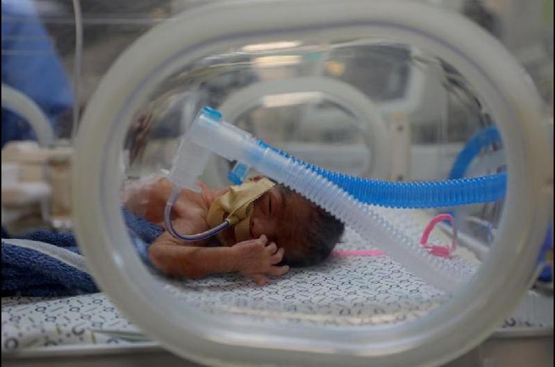 La OMS denuncioacute que maacutes de 1000 pacientes murieron en Gaza mientras esperaban evacuacioacuten meacutedica