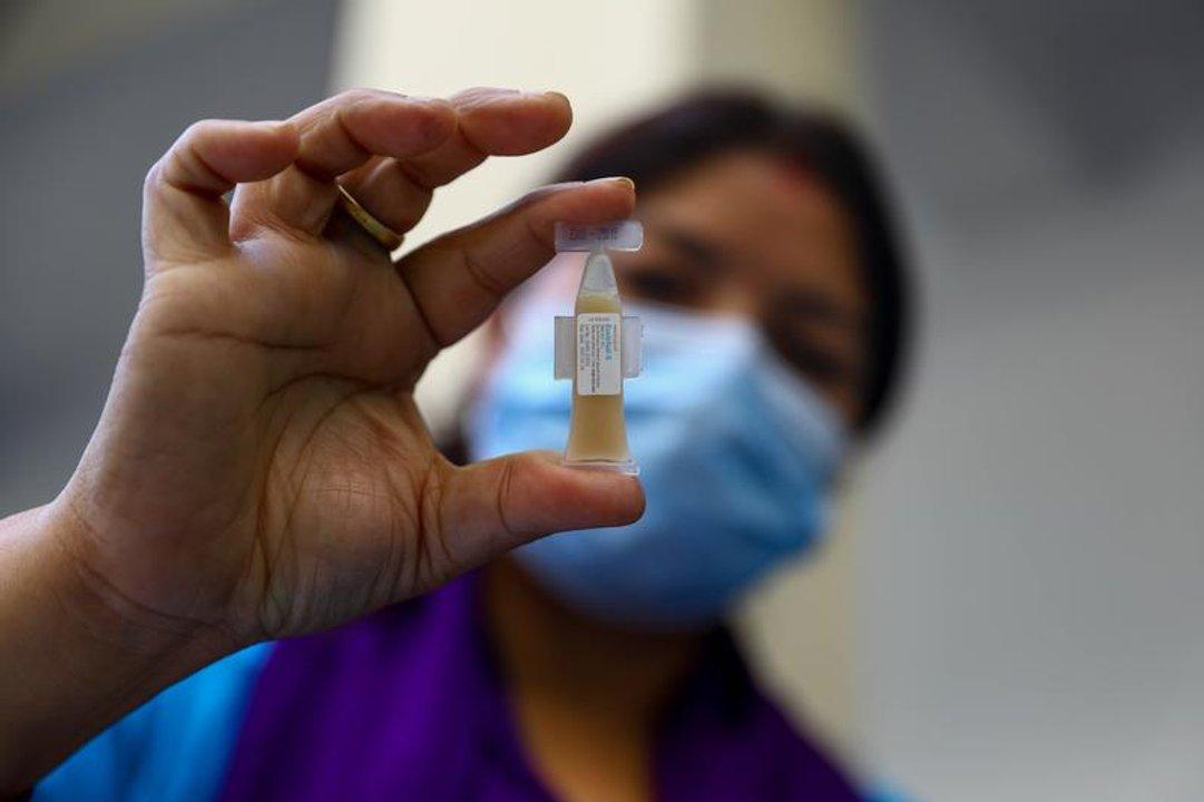 Brote de coacutelera en Pakistaacuten eleva a 12 la cifra de muertos en tres semanas